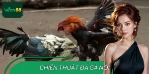 Chiến Thuật Đá Gà Nòi WON88 – Lựa Chọn Gà Chiến Theo Phong Độ