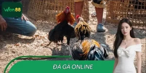 da-ga-online-cap-nhat-keo-thong-tin-tran-ga-nhanh-o-won88