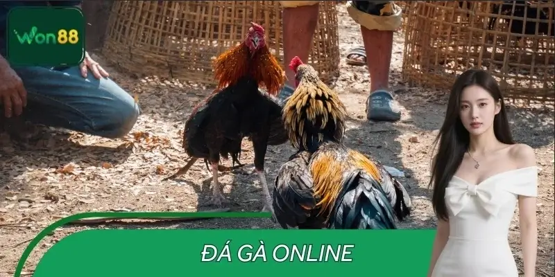 da-ga-online-cap-nhat-keo-thong-tin-tran-ga-nhanh-o-won88