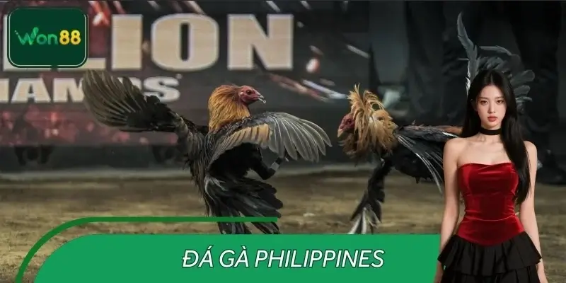 Đá Gà Philippines – Cập Nhật Tin Tức Nóng Mới Nhất Tại WON88
