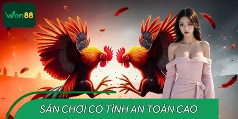 Đá gà trực tuyến WON88 - Sân Chơi có tính an toàn cao