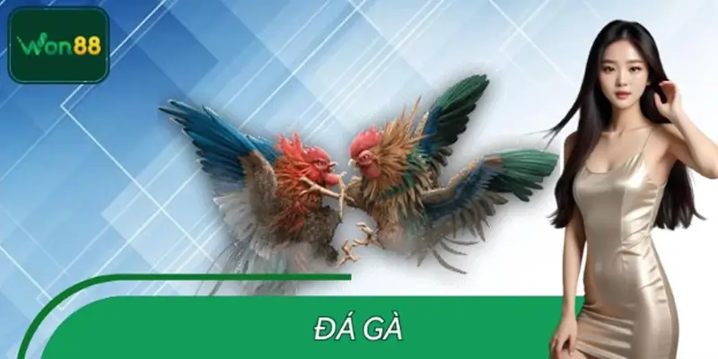Đá Gà WON88 – Đấu Trường Kịch Tính Dành Cho Dân Cược Đích Thực