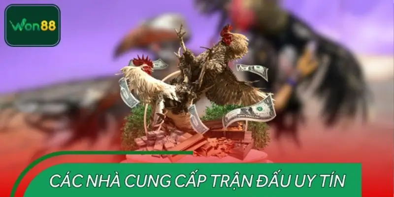 Danh sách các nhà cung cấp uy tín cho sảnh đá gà WON88