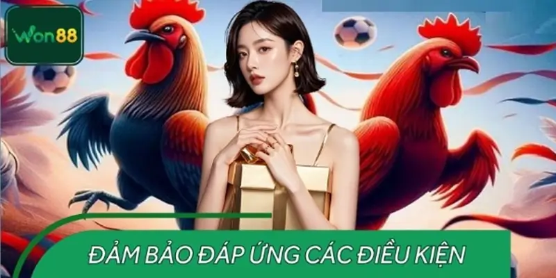 Điều kiện cần đảm bảo để nhận ưu đãi đá gà