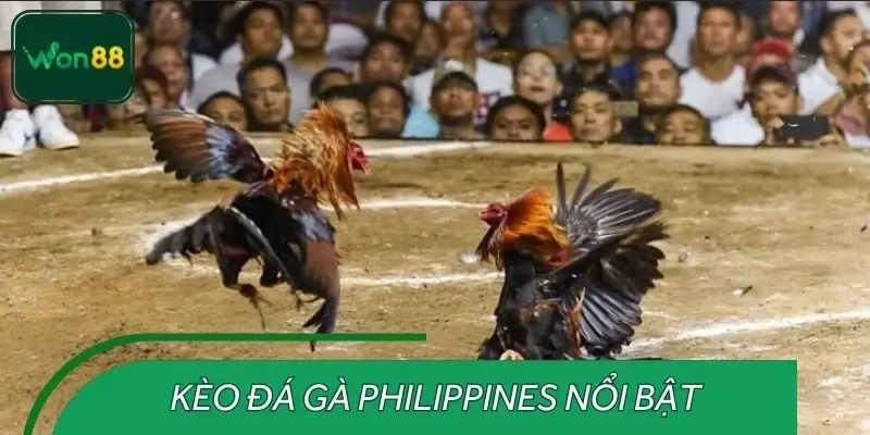 Kèo thể trạng và cân nặng