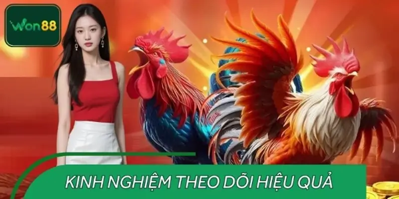 Kinh nghiệm theo dõi đá gà trực tuyến WON88 hiệu quả