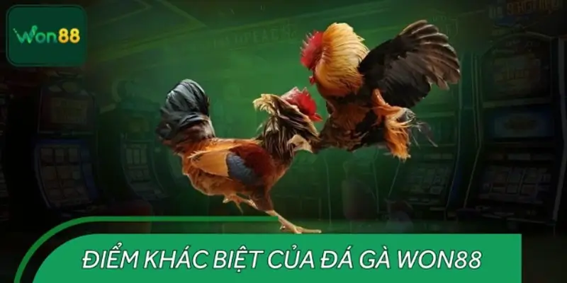 Những ưu điểm nổi bật của đá gà Won88 so với hình thức truyền thống