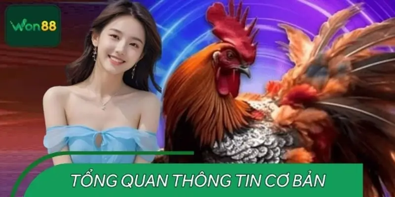 Tổng quan thông tin cơ bản về đá gà trực tuyến WON88