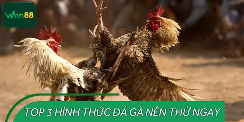 Top 3 hình thức hấp dẫn nhất mà bạn không nên bỏ lỡ tại WON88