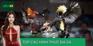 Top Các Hình Thức Đá Gà Nổi Bật Tại WON88 Không Thể Bỏ Qua