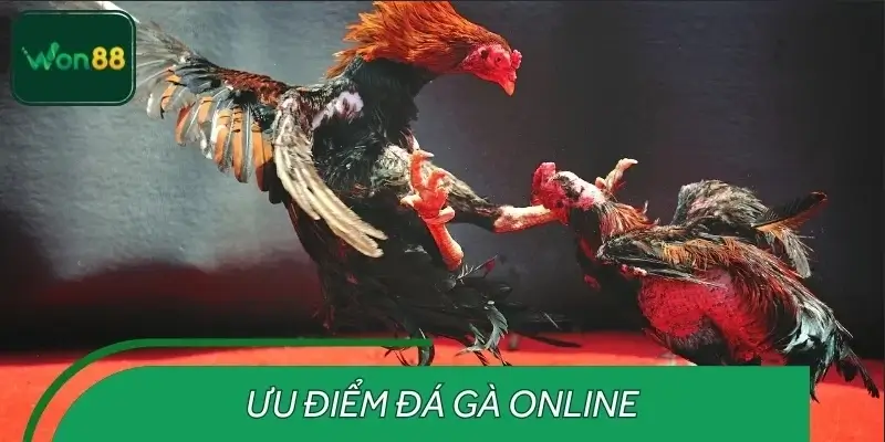 Tỷ lệ kèo minh bạch