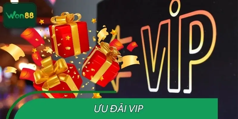 Ưu đãi VIP - Cập nhật khuyến mãi mới nhất 2025